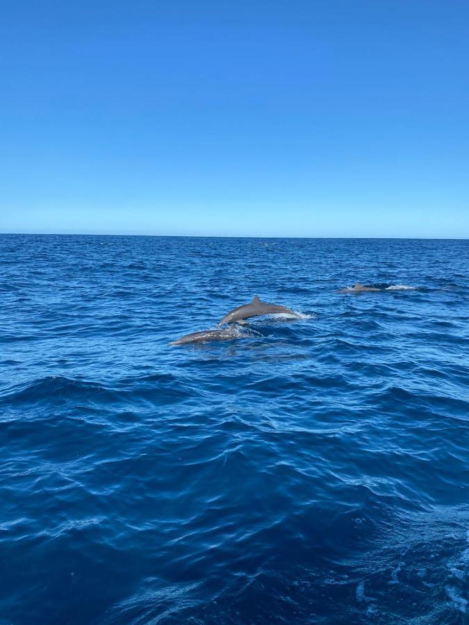 Boutique Hotel Luna Azul Ostional Wildlife Refuge Exterior foto
